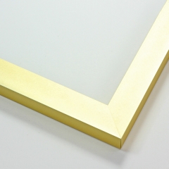 Solid 7/8 " metal frame. This frame is a soft, yellow gold. It has a frosted texture covering all sides and reflects dispersed light.

Nielsen n97-151 Profile